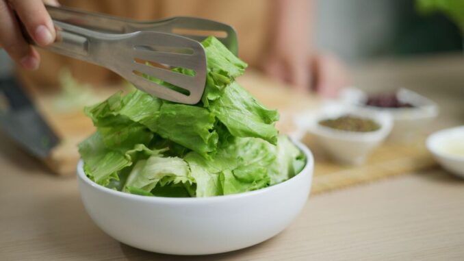 🥬 TikTok Lettuce Hacks: Recipes & Storage Secrets for Crispy, Fresh Greens! 🥬 TikTok Lettuce Hacks: Recipes & Storage Secrets for Crispy, Fresh Greens!